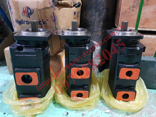 bơm bánh răng Parker pgp 329912(6).jpg